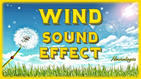Wind sound effect. Things To Know About Wind sound effect. 
